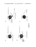 METAL-ENHANCED PHOTOLUMINESCENCE FROM CARBON NANODOTS diagram and image