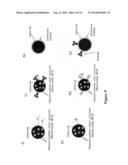 METAL-ENHANCED PHOTOLUMINESCENCE FROM CARBON NANODOTS diagram and image