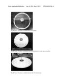 PREPARATION OF PRE-COATED RP-ROTORS AND UNIVERSAL CHROMATOROTORS,     CHROMATOGRAPHIC SEPARATION DEVICES AND METHODS FOR CENTRIFUGAL     PREPARATIVE CHROMATOGRAPHY diagram and image