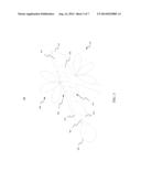 CONFORMAL PHASED ARRAY ANTENNA WITH INTEGRATED TRANSCEIVER diagram and image