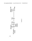 VACCINES FOR PREVENTING AND TREATING ALZHEIMER S DISEASE diagram and image