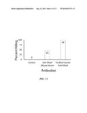 GROUP A STREPTOCOCCAL M-RELATED PROTEINS AND METHODS OF USE diagram and image