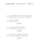 GROUP A STREPTOCOCCAL M-RELATED PROTEINS AND METHODS OF USE diagram and image