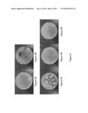 Silver Oxide Formulations diagram and image