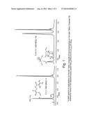 BIS-IMINE COMPLEX OF LANTHANIDES, CATALYTIC SYSTEM COMPRISING SAID     BIS-IMINE COMPLEX AND PROCESS FOR THE (CO)POLYMERIZATION OF CONJUGATED     DIENES diagram and image