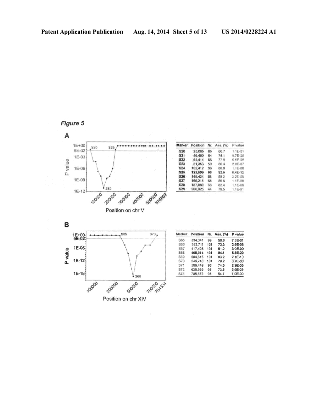 SPECIFIC ALLELES IMPORTANT FOR ETHANOL TOLERANCE - diagram, schematic, and image 06