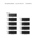 SPECIFIC ALLELES IMPORTANT FOR ETHANOL TOLERANCE diagram and image