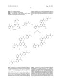 NOVEL ROCK KINASE INHIBITORS diagram and image