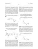 INSECTICIDAL COMPOUNDS BASED ON ISOXAZOLINE DERIVATIVES diagram and image