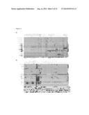 Method and System for Non-linear Quantification of Pathway Deregulation     for Analysis of Malignancies diagram and image