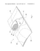 Pillow with internal adjustable neck support diagram and image