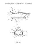 APPARATUS, SYSTEM, AND METHOD FOR ENHANCING A DECOY diagram and image