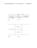 IMAGING MICROVISCOMETER diagram and image