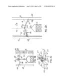 Swiftlets Farming for Production of Edible Bird s Nests diagram and image