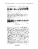 HEAT TREATABLE ALUMINUM ALLOYS HAVING MAGNESIUM AND ZINC AND METHODS FOR     PRODUCING THE SAME diagram and image