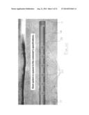 Insert Assembly for Downhole Perforating Apparatus diagram and image