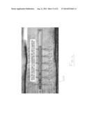 Insert Assembly for Downhole Perforating Apparatus diagram and image