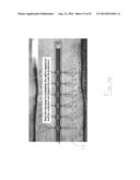 Insert Assembly for Downhole Perforating Apparatus diagram and image