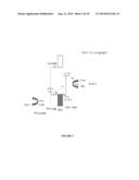 CATHODE-DRIVEN OR ASSISTED SOLAR CELL diagram and image