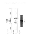 MAGNETICALLY RESPONSIVE MEMBRANES diagram and image