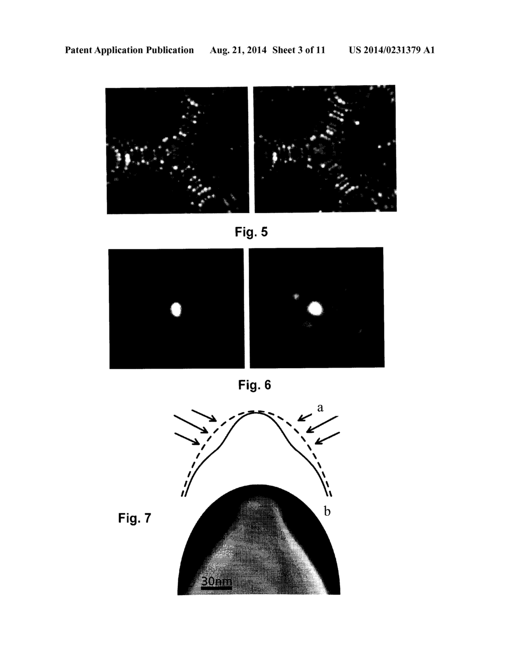 METHOD OF FABRICATING NANOTIPS WITH CONTROLLED PROFILE - diagram, schematic, and image 04