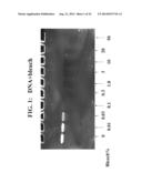 METHOD OF MAKING A FORMULATION FOR DEACTIVATING NUCLEIC ACIDS diagram and image