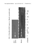 METHOD OF MAKING A FORMULATION FOR DEACTIVATING NUCLEIC ACIDS diagram and image