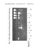 METHOD OF MAKING A FORMULATION FOR DEACTIVATING NUCLEIC ACIDS diagram and image