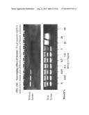 METHOD OF MAKING A FORMULATION FOR DEACTIVATING NUCLEIC ACIDS diagram and image