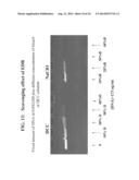 METHOD OF MAKING A FORMULATION FOR DEACTIVATING NUCLEIC ACIDS diagram and image