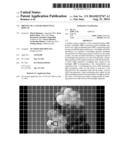 DRIVING OF A COLOR SEQUENTIAL DISPLAY diagram and image