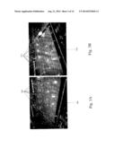 METHOD AND DEVICE FOR SPHERICAL RESAMPLING FOR VIDEO GENERATION diagram and image