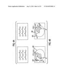 APPARATUS AND METHOD FOR FOUR DIMENSIONAL SOFT TISSUE NAVIGATION IN     ENDOSCOPIC APPLICATIONS diagram and image