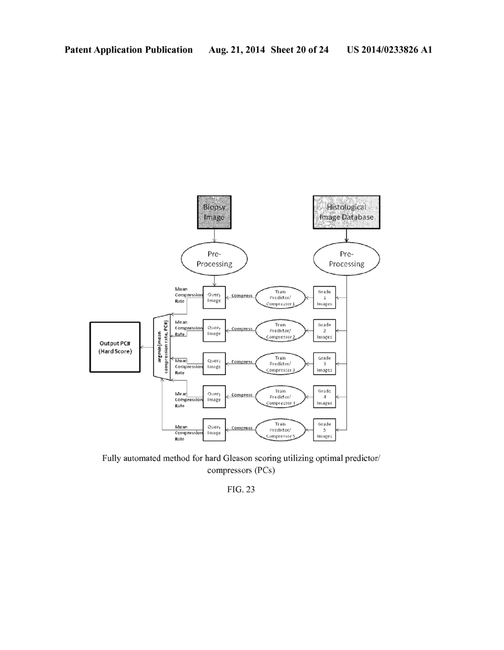 SYSTEMS AND METHODS FOR AUTOMATED SCREENING AND PROGNOSIS OF CANCER FROM     WHOLE-SLIDE BIOPSY IMAGES - diagram, schematic, and image 21