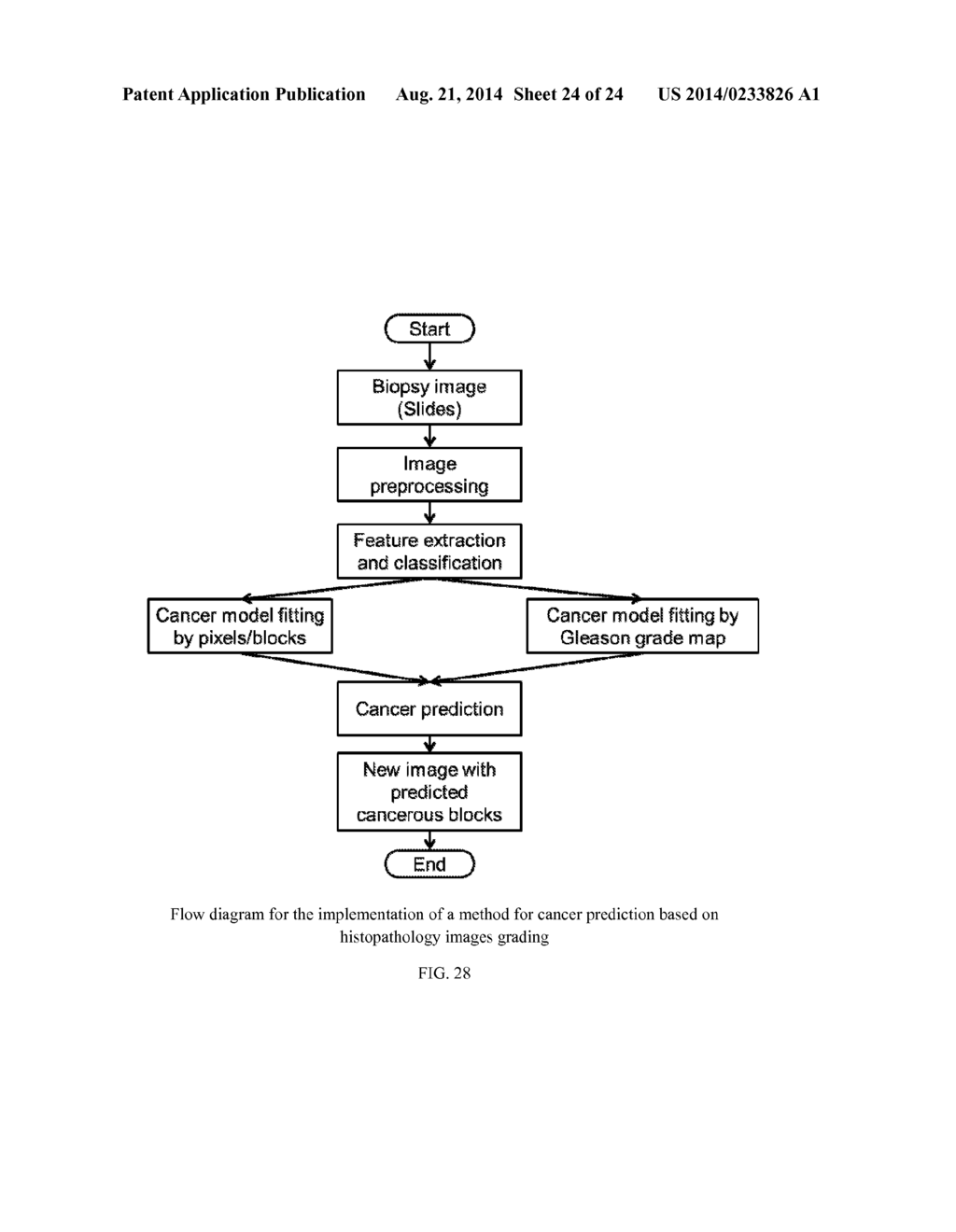 SYSTEMS AND METHODS FOR AUTOMATED SCREENING AND PROGNOSIS OF CANCER FROM     WHOLE-SLIDE BIOPSY IMAGES - diagram, schematic, and image 25