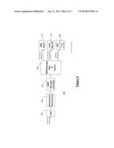 SYSTEM, METHOD & APPARATUS FOR A ROGUE OPTICS NETWORK UNIT diagram and image