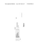 SYSTEM, METHOD & APPARATUS FOR A ROGUE OPTICS NETWORK UNIT diagram and image