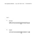 MICRODYSTROPHIN PEPTIDES AND METHODS FOR TREATING MUSCULAR DYSTROPHY USING     THE SAME diagram and image