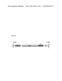 MICRODYSTROPHIN PEPTIDES AND METHODS FOR TREATING MUSCULAR DYSTROPHY USING     THE SAME diagram and image