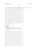 MICRODYSTROPHIN PEPTIDES AND METHODS FOR TREATING MUSCULAR DYSTROPHY USING     THE SAME diagram and image