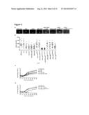 Oncolytic Viruses and Methods for Treating Neoplastic Disorders diagram and image