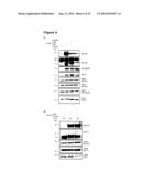 Oncolytic Viruses and Methods for Treating Neoplastic Disorders diagram and image