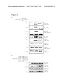 Oncolytic Viruses and Methods for Treating Neoplastic Disorders diagram and image