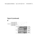 Oncolytic Viruses and Methods for Treating Neoplastic Disorders diagram and image