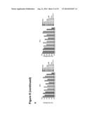 Oncolytic Viruses and Methods for Treating Neoplastic Disorders diagram and image