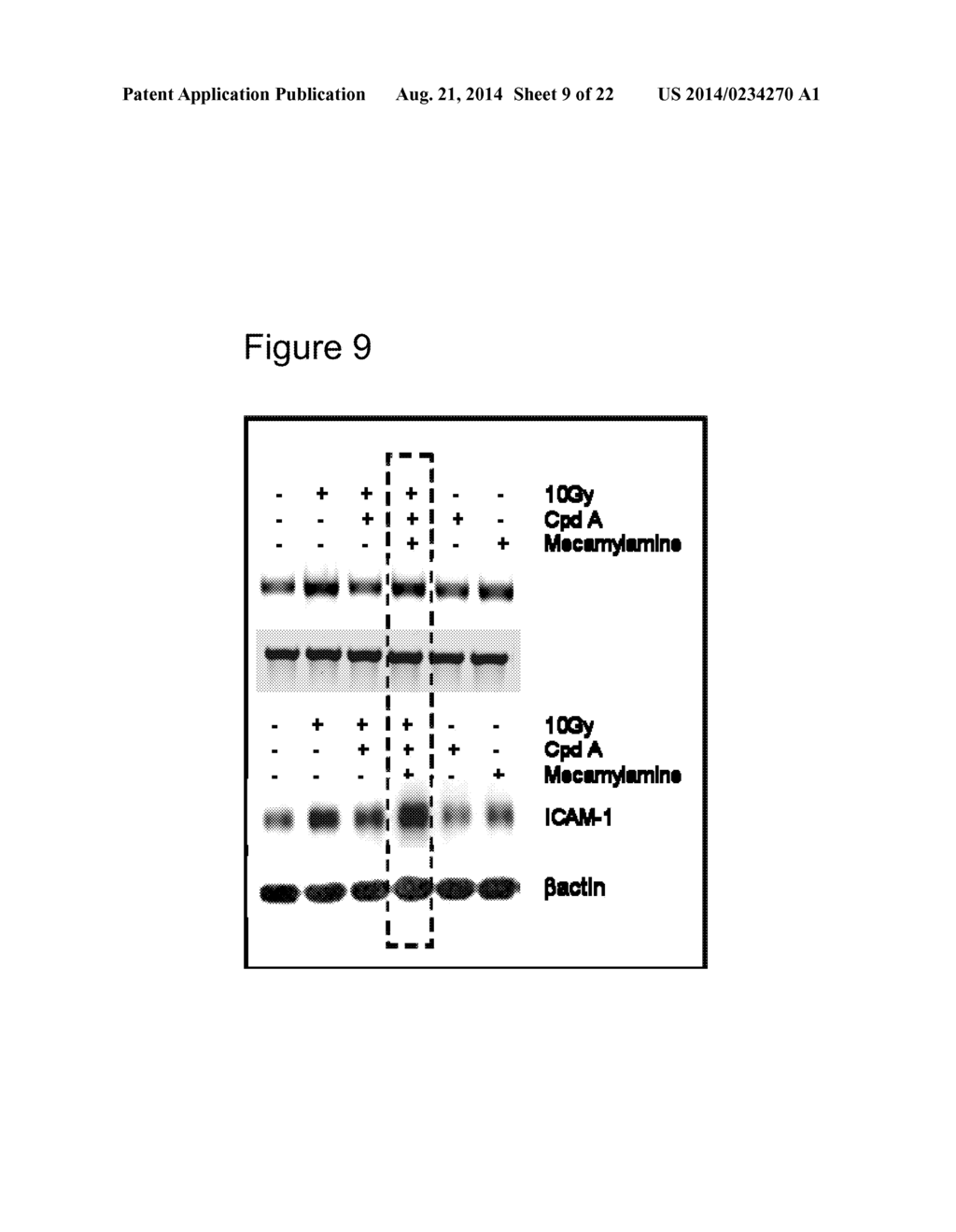 TREATMENT WTH ALPHAT SELECTIVE LIGANDS - diagram, schematic, and image 10