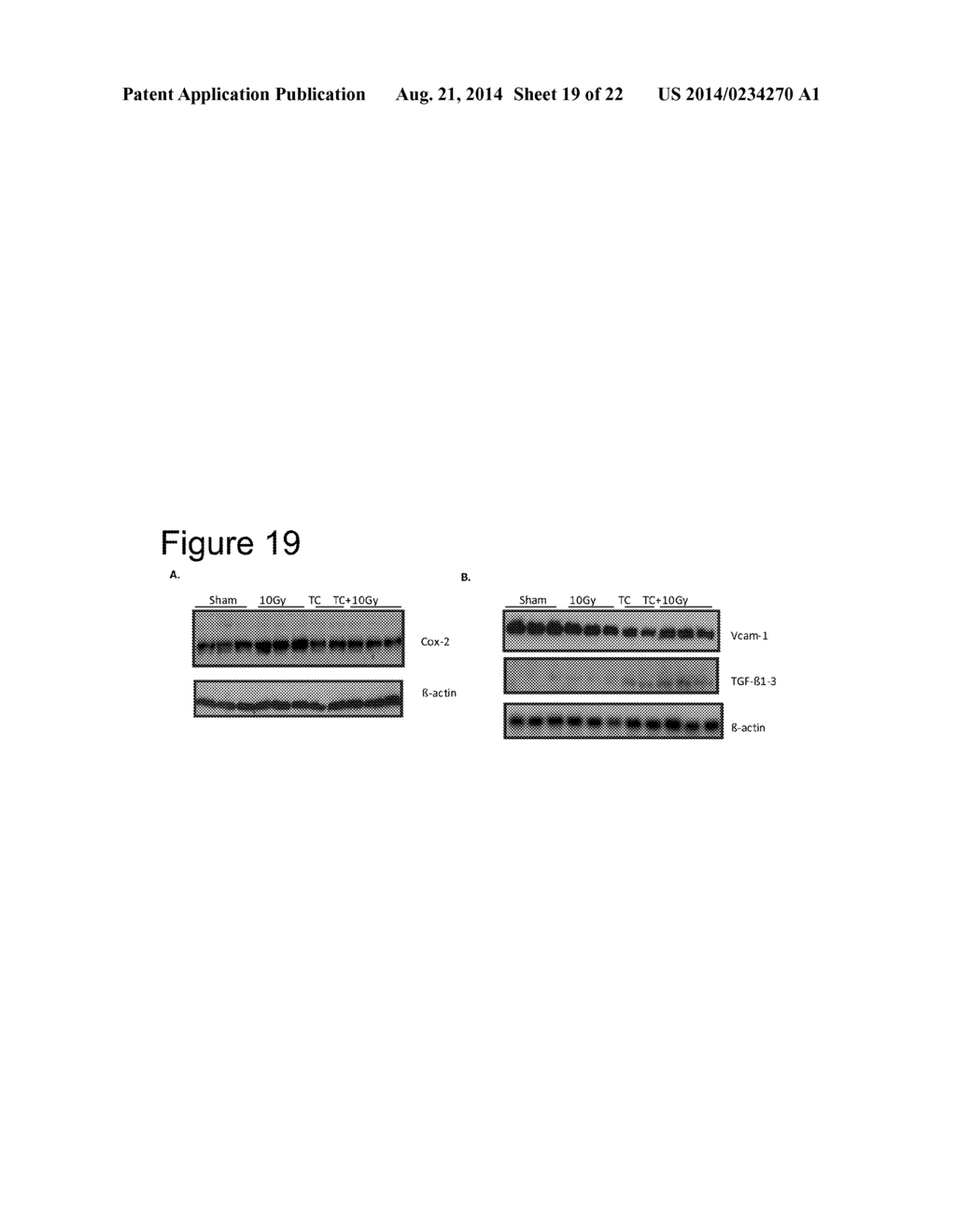 TREATMENT WTH ALPHAT SELECTIVE LIGANDS - diagram, schematic, and image 20