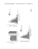 COMPOSITIONS FOR PROLIFERATION OF CELLS AND RELATED METHODS diagram and image