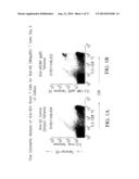 METHODS FOR ELIMINATING AT LEAST A SUBSTANTIAL PORTION OF A CLONAL     ANTIGEN-SPECIFIC MEMORY T CELL SUBPOPULATION diagram and image