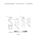 EVALUATION AND IMPROVEMENT OF NUCLEASE CLEAVAGE SPECIFICITY diagram and image